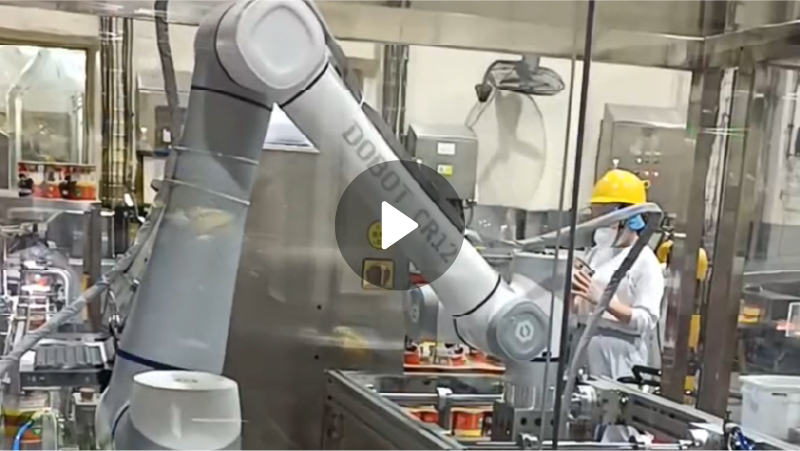 智能碼垛機器人,碼垛自動化方案,智能碼垛工作站、雀巢集團