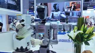 多形態具身機器人